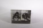 EROTICA. 
Quatorze plaques photographiques sous verre fin XIXe siècle, aux...