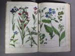 SCHUBERT, de.Histoire naturelle du règne végétal, représenté en images coloriées....