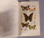 CASTILLON. Nouvelle chasse aux papillons. Paris, Courcier, Nombreuses illustrations en...