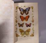 CASTILLON. Nouvelle chasse aux papillons. Paris, Courcier, Nombreuses illustrations en...