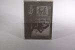 EROTICA. Quatorze plaques photographiques sous verre fin XIXe siècle, aux...